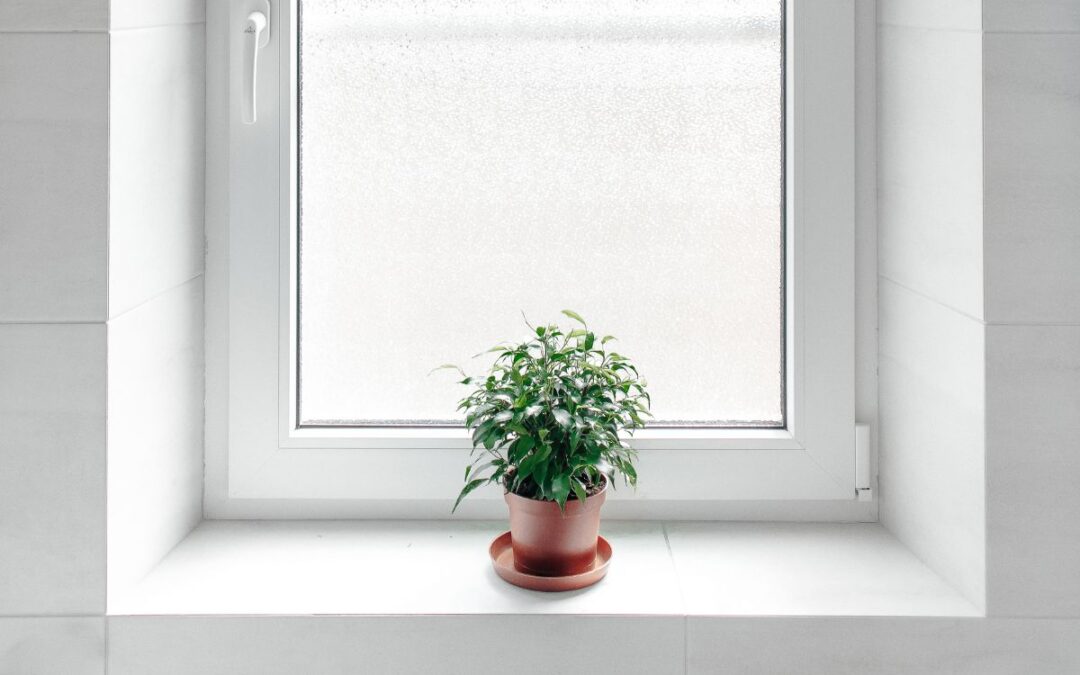 Kunststof kozijnen kopen: waarom jij kiest voor kwaliteit en zekerheid