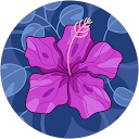 Iris Verhoof profile picture